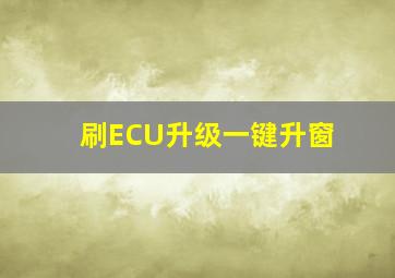 刷ECU升级一键升窗