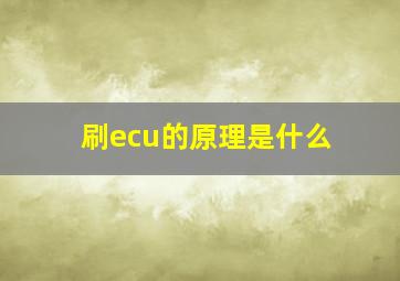 刷ecu的原理是什么