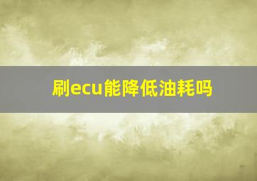 刷ecu能降低油耗吗