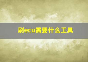 刷ecu需要什么工具