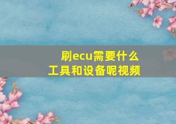 刷ecu需要什么工具和设备呢视频