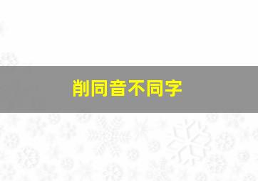 削同音不同字