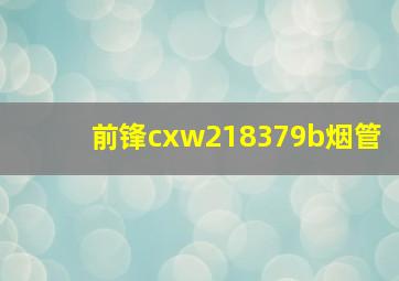 前锋cxw218379b烟管