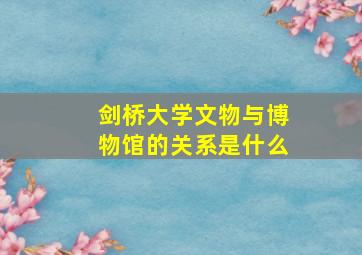 剑桥大学文物与博物馆的关系是什么