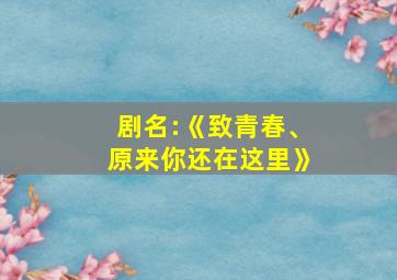 剧名:《致青春、原来你还在这里》