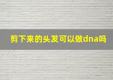 剪下来的头发可以做dna吗