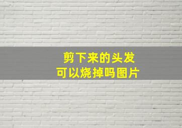 剪下来的头发可以烧掉吗图片