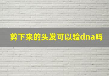 剪下来的头发可以验dna吗