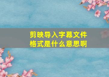 剪映导入字幕文件格式是什么意思啊