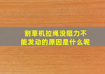 割草机拉绳没阻力不能发动的原因是什么呢