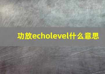 功放echolevel什么意思