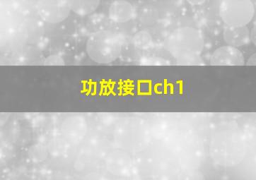 功放接口ch1