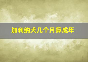 加利纳犬几个月算成年