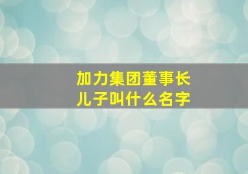 加力集团董事长儿子叫什么名字