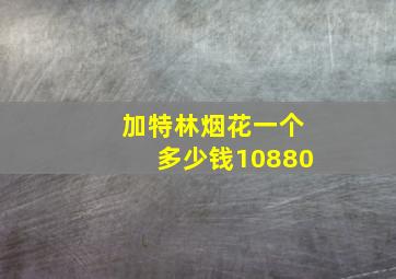 加特林烟花一个多少钱10880