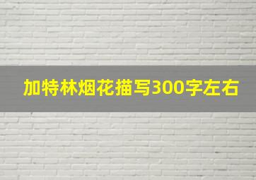 加特林烟花描写300字左右