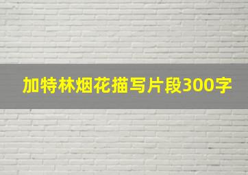 加特林烟花描写片段300字