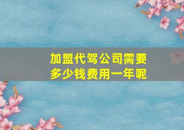 加盟代驾公司需要多少钱费用一年呢