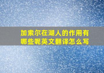 加索尔在湖人的作用有哪些呢英文翻译怎么写