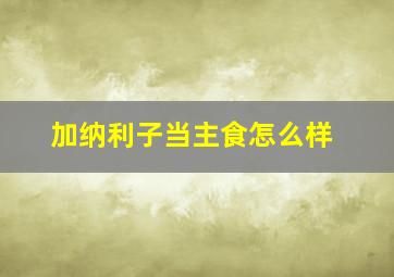 加纳利子当主食怎么样