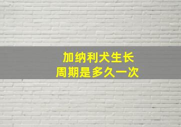 加纳利犬生长周期是多久一次