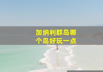 加纳利群岛哪个岛好玩一点