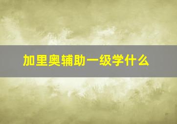 加里奥辅助一级学什么