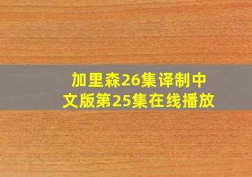 加里森26集译制中文版第25集在线播放