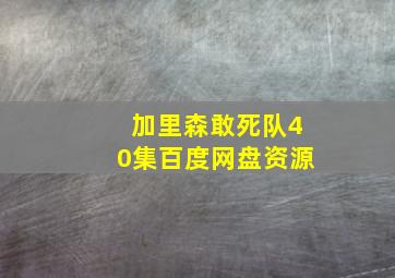 加里森敢死队40集百度网盘资源