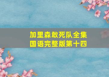 加里森敢死队全集国语完整版第十四