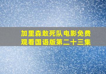 加里森敢死队电影免费观看国语版第二十三集