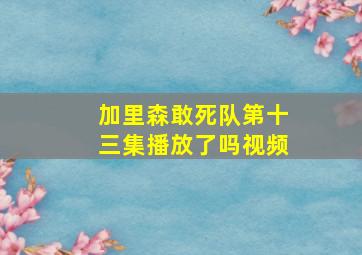 加里森敢死队第十三集播放了吗视频