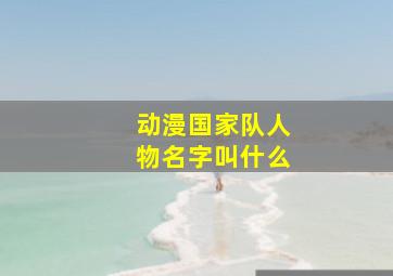 动漫国家队人物名字叫什么