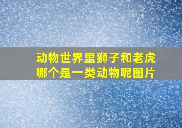 动物世界里狮子和老虎哪个是一类动物呢图片