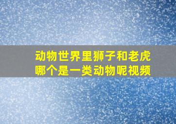 动物世界里狮子和老虎哪个是一类动物呢视频