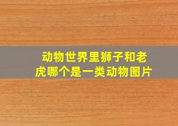 动物世界里狮子和老虎哪个是一类动物图片