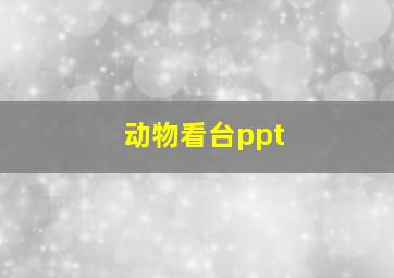 动物看台ppt