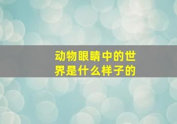 动物眼睛中的世界是什么样子的