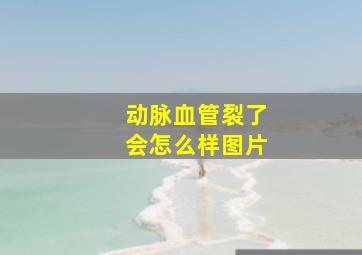 动脉血管裂了会怎么样图片