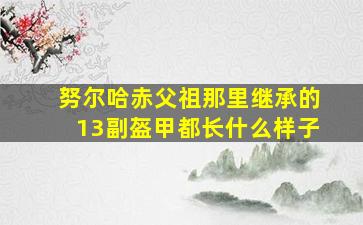 努尔哈赤父祖那里继承的13副盔甲都长什么样子