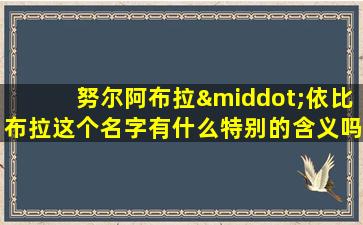 努尔阿布拉·依比布拉这个名字有什么特别的含义吗