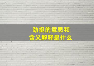 劲挺的意思和含义解释是什么