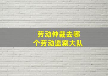 劳动仲裁去哪个劳动监察大队