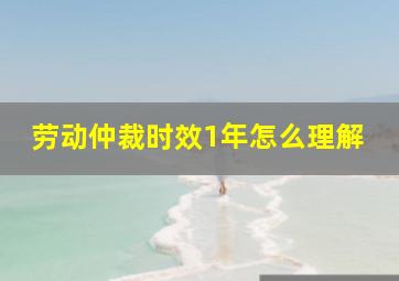 劳动仲裁时效1年怎么理解