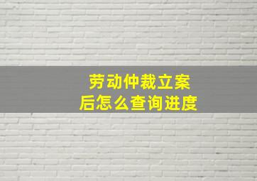 劳动仲裁立案后怎么查询进度