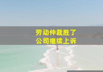 劳动仲裁胜了公司继续上诉