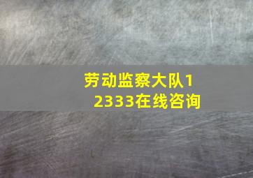 劳动监察大队12333在线咨询