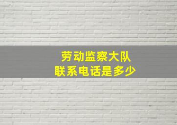 劳动监察大队联系电话是多少