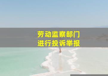 劳动监察部门进行投诉举报