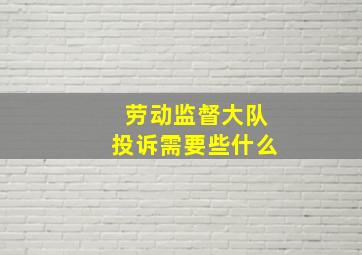 劳动监督大队投诉需要些什么